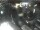 Webcam in Bergkamen, 2.8 km