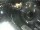 Webcam in Bergkamen, 5.3 km entfernt