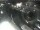 Webcam in Bergkamen, 12.9 mi away