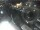 Webcam in Bergkamen, 12.4 km entfernt