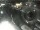 Webcam in Bergkamen, 19 km