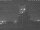 Webcam in Kleve, 54 km