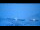Webcam at the Troll Station, 771.7 mi away