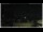 Webcam in Campora San Giovanni, 16 mi away