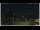 Webcam in Campora San Giovanni, 54.7 km