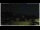 Webcam in Campora San Giovanni, 46.5 km
