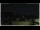 Webcam in Campora San Giovanni, 46.5 km