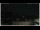 Webcam in Campora San Giovanni, 4.1 km entfernt