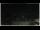 Webcam in Campora San Giovanni, 41.2 km