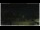 Webcam in Campora San Giovanni, 28.8 km entfernt