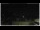 Webcam in Campora San Giovanni, 18 mi away