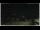 Webcam in Campora San Giovanni, 15.9 mi away