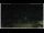 Webcam in Campora San Giovanni, 23.9 km entfernt