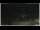 Webcam in Campora San Giovanni, 33.7 km entfernt