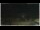 Webcam in Campora San Giovanni, 28.8 km entfernt