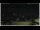 Webcam in Campora San Giovanni, 53 km