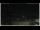 Webcam in Campora San Giovanni, 29.1 km