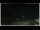Webcam in Campora San Giovanni, 55.1 km