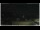 Webcam in Campora San Giovanni, 21.3 mi away