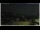 Webcam in Campora San Giovanni, 54.7 km entfernt