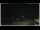 Webcam in Campora San Giovanni, 18 mi away