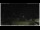 Webcam in Campora San Giovanni, 46.6 km entfernt