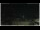 Webcam in Campora San Giovanni, 46.6 km entfernt