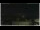 Webcam in Campora San Giovanni, 33.7 km