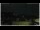 Webcam in Campora San Giovanni, 4.1 km