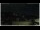 Webcam in Campora San Giovanni, 53 km