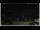 Webcam in Campora San Giovanni, 1.6 mi away