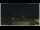 Webcam in Campora San Giovanni, 33.7 km entfernt