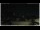 Webcam in Campora San Giovanni, 4.1 km entfernt