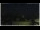 Webcam in Campora San Giovanni, 1.6 mi away