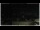 Webcam in Campora San Giovanni, 1.6 mi away
