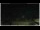 Webcam in Campora San Giovanni, 6.5 mi away