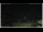 Webcam in Campora San Giovanni, 55.1 km