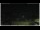 Webcam in Campora San Giovanni, 15.9 mi away