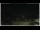 Webcam in Campora San Giovanni, 55.1 km entfernt