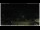 Webcam in Campora San Giovanni, 19.4 km