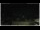 Webcam in Campora San Giovanni, 54.7 km