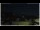 Webcam in Campora San Giovanni, 21.3 mi away