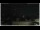 Webcam in Campora San Giovanni, 21.1 mi away