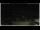 Webcam in Campora San Giovanni, 16.9 km