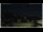 Webcam in Campora San Giovanni, 20.4 mi away