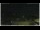 Webcam in Campora San Giovanni, 53.2 km