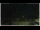 Webcam in Campora San Giovanni, 0.3 km