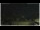 Webcam in Campora San Giovanni, 0.3 km entfernt