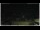 Webcam in Campora San Giovanni, 21.7 km entfernt