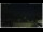 Webcam in Campora San Giovanni, 16.9 km